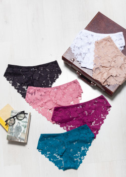 Ολόκληρο σλιπ δαντέλα