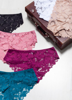 Ολόκληρο σλιπ δαντέλα